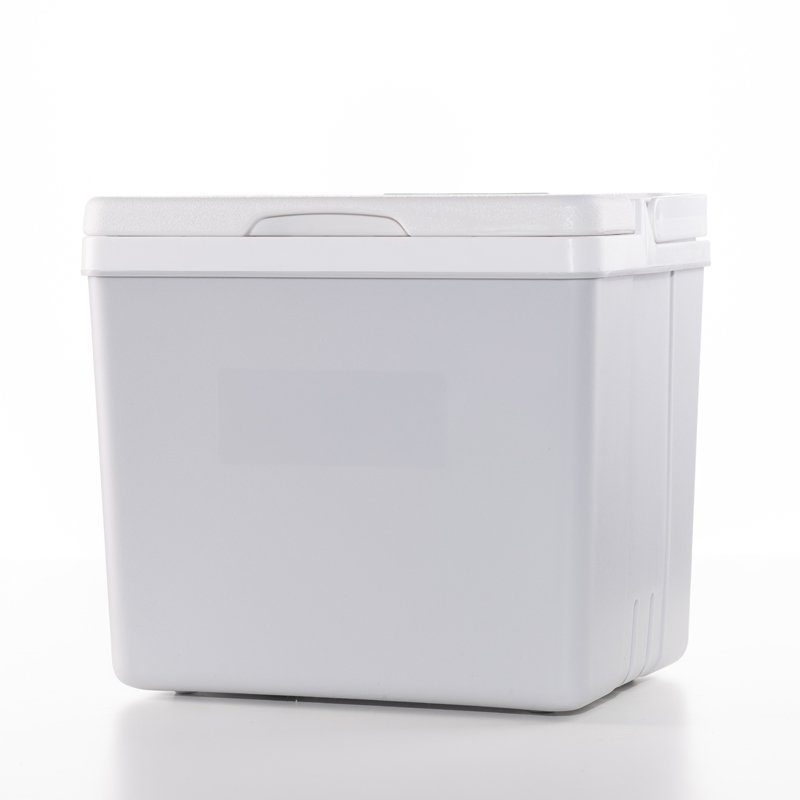 Hanover-Dairies-10-litre-Cool-Box-Isolated-1.jpg